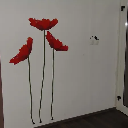 Apartment Apartments Mikulic
